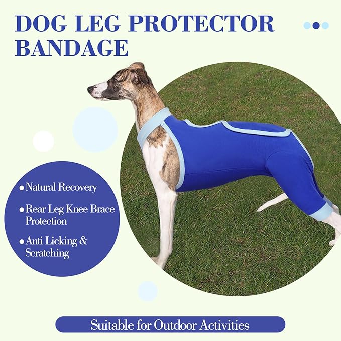 ROZKITCH Dog Surgery Leg Sleeve Rear Legs, Male Female Pet Prevent Licking Wound Elbow Knee Protector, Dog Recovery Suit Cone Collar Alternative Pants Shirt for Wound Heal Wrap Blue XL
