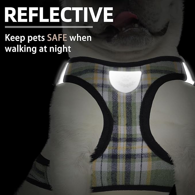 PUPTECK Adjustable Dog Harness Collar and Leash Set Step in No Pull Pet Harness for Small Medium Dogs Puppy and Cats Outdoor Walking Running, Soft Mesh Padded Reflective Vest Harnesses, Grn&YLW, XL