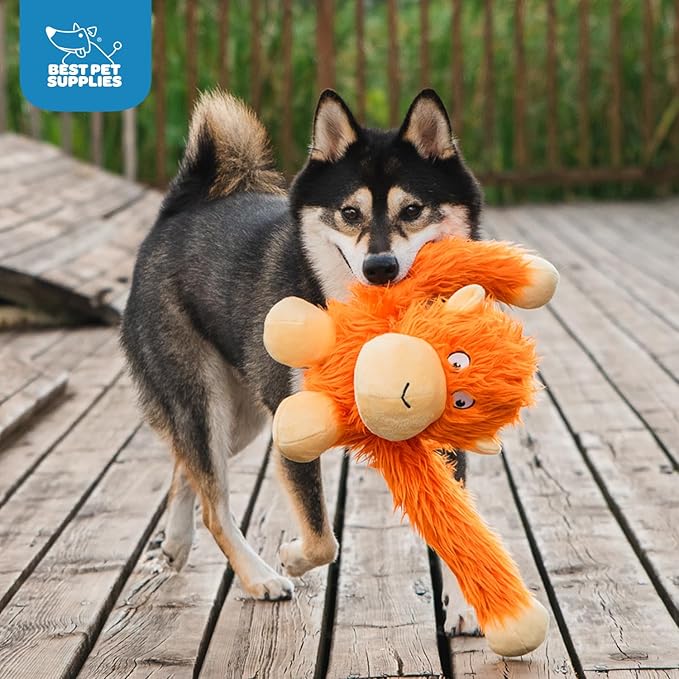 Best Pet Supplies Interactive Squeaky Dog Chew Toy, Ideal Dog Toys for Chewers, Small, Medium & Large Dogs, and Fetch Lovers - O-Hug-Atan (Orange), Large