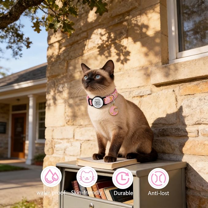 Smart Safety Cat Collar 2-Pack: Luminous Night Glow & QR Code Pet ID Tag, Breakaway Reflective Adjustable Collar (7.5-12.5”) for Indoor/Outdoor Cats, Pink