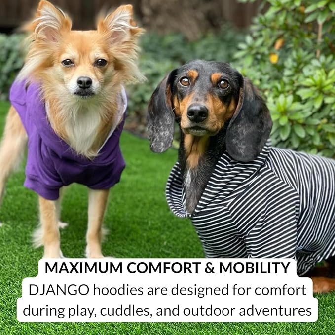 DJANGO Dog Hoodie – Warm Winter Dog Sweater & Fully Lined, Cozy Sweatshirt for Small & Medium Dogs, Dachshunds – Soft, Stretchy, Puppy Hoodie with Leash Portal, Elastic Waistband – Quartz Pink, Small