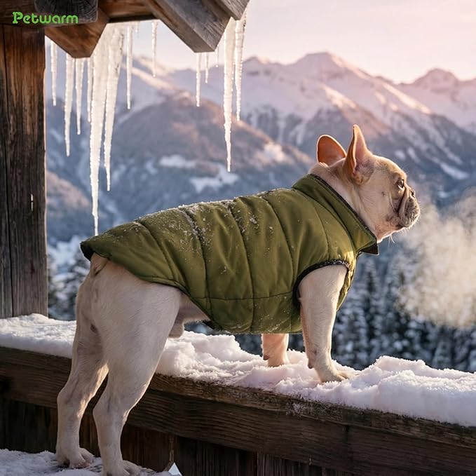 PetWarm Reversible Dog Winter Coat, Windproof Dog Puffer Vest, Soft Vest for Dogs with Hook-and-Loop Strap for Easy Dressing, Waterproof Coat for Dogs with Adjustable Fit, Green, S