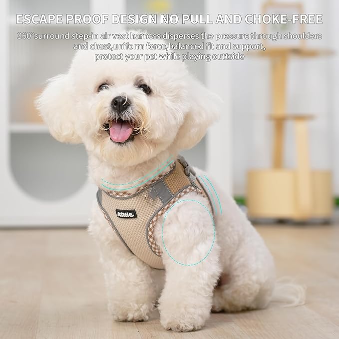 AIITLE XXS Dog Harness & Leash Set - Breathable Reflective No-Choke Small Dog Harness for Teacup Puppies, Indoor/Outdoor Use - Boston Terrier, Maltese, Chihuahua (Brown-Beige, XXS)