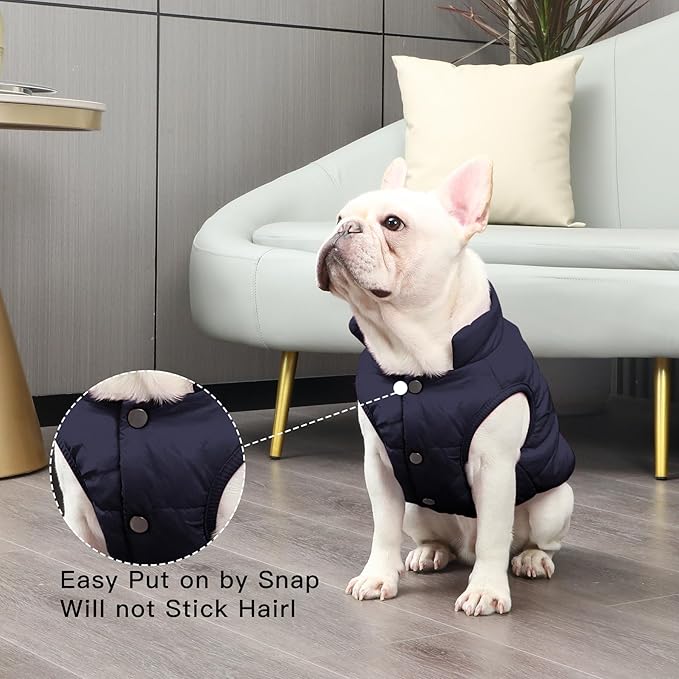2 Layers Fleece Lined Warm Dog Jacket for Puppy Winter Cold Weather,Soft Windproof Small Dog Coat,Blue S