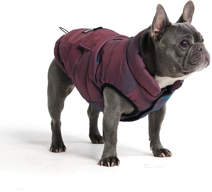 Spark Paws Dog Winter Jacket, Water-Resistant Coat, Warm Reflective Windproof Fleece-Interior, for Medium and Large Dogs - Cosmic - XL