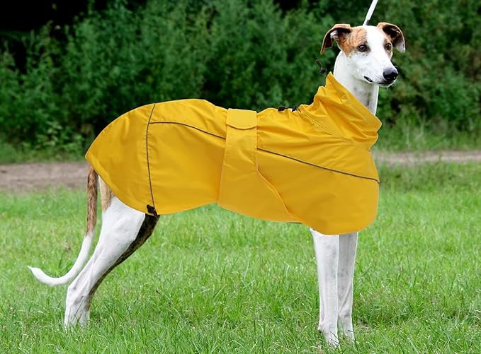 Greyhound Lurcher Raincoat, Whippet Rain Gear with Reflective Bar, Rain/Waterproof, Adjustable Bands and Drawstring in Autumn and Winter - Yellow - S