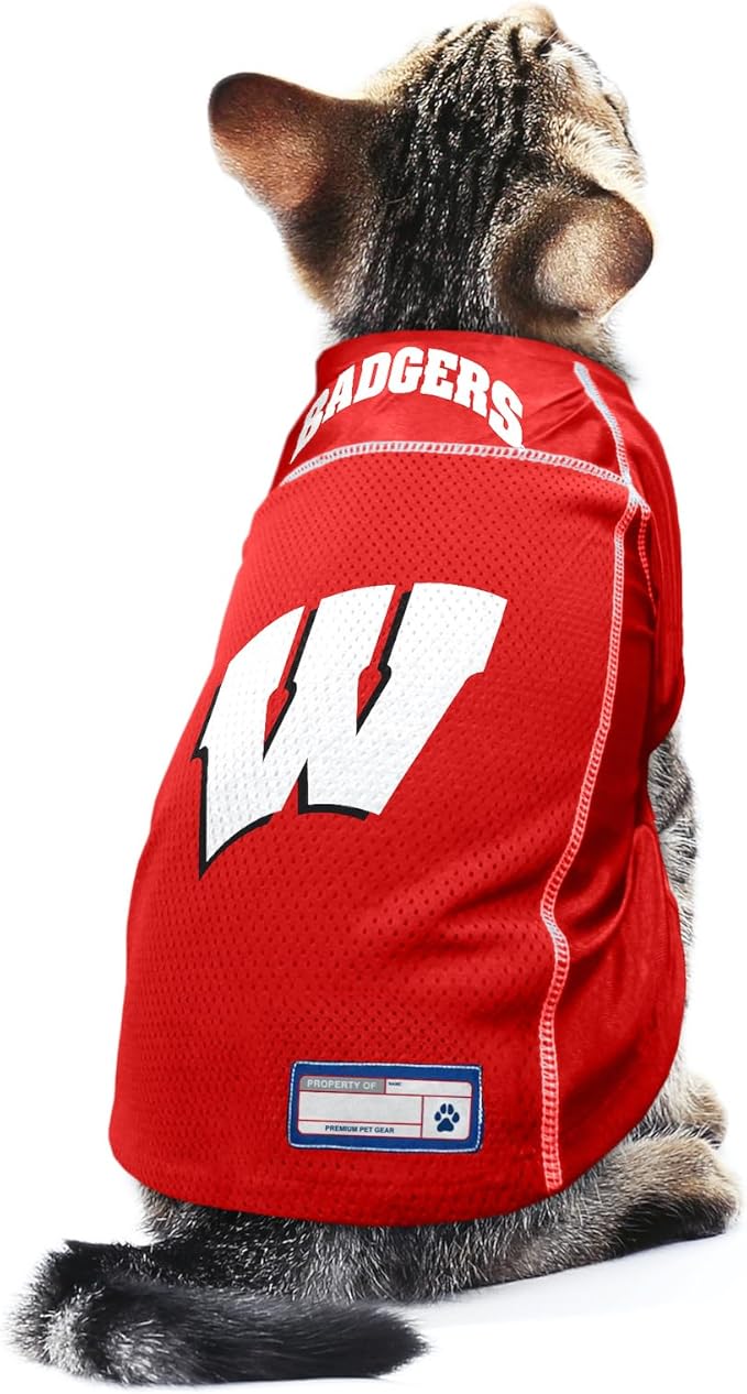 Littlearth Unisex-Adult NCAA Basic Pet Jersey