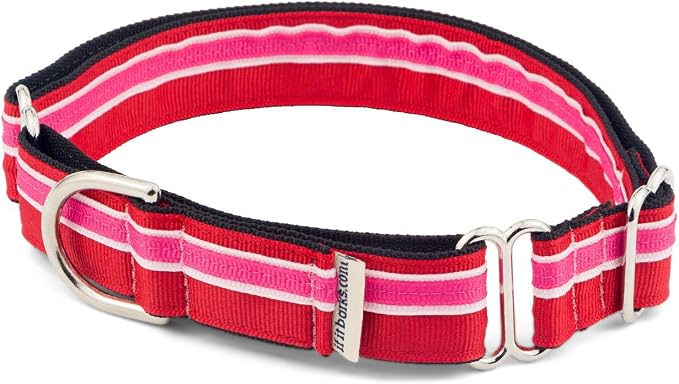 If It Barks 1" Martingale Collar for Dogs, Adjustable Nylon, USA Made, Small, Shortcake