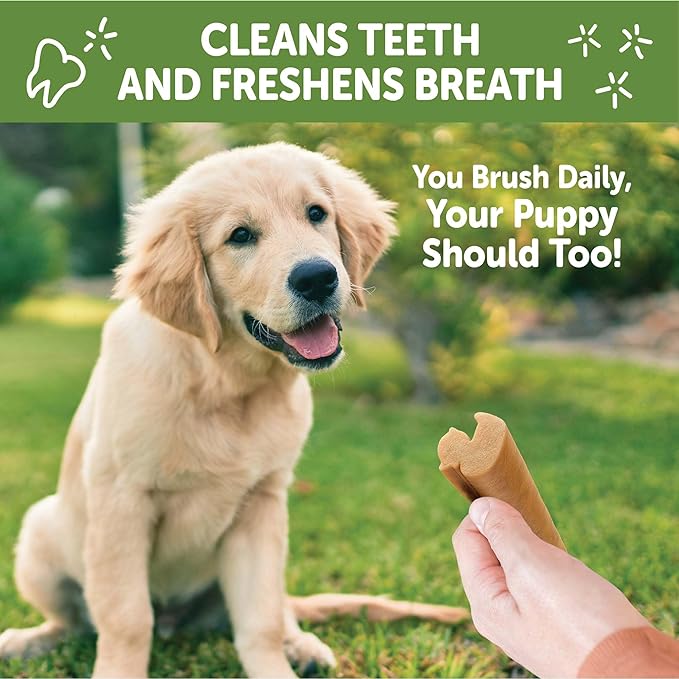 WHIMZEES Wellness Puppy Dog Dental Treats, Extra Small & Small Size Stick, (30 Count)