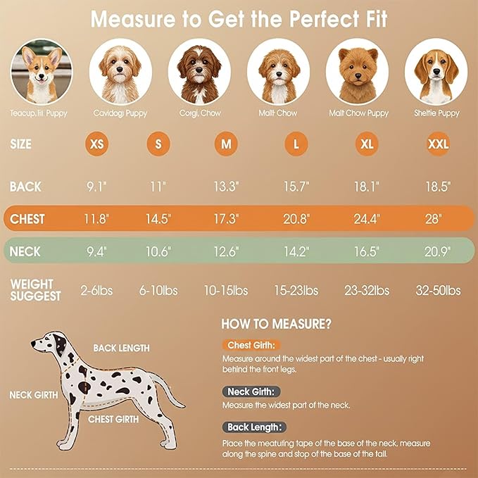 Grewear Colorful Stripes Pattern Pets Knit Sweater, Warm Comfortable Knit Sweater for Pets, Soft Cozy Winter Pet Clothes, Stylish Multi-Colored Sweater for Dogs & Cats Olive S