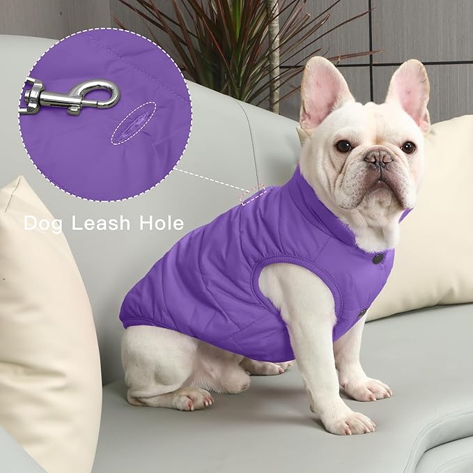 2 Layers Fleece Lined Warm Dog Jacket for Puppy Winter Cold Weather,Soft Windproof Small Dog Coat,Purple M