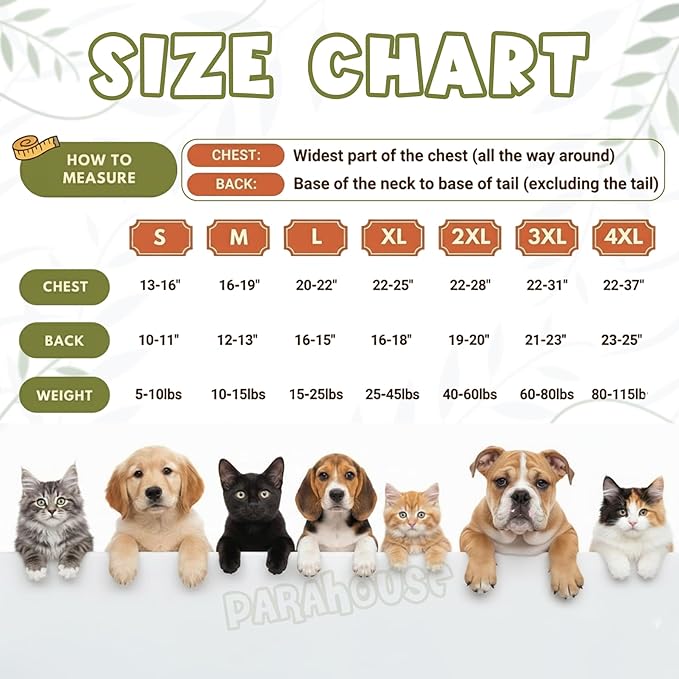 Personalized Dog Hoodie, Custom Embroidered Name Pet Hoodie, Warm Winter Outfit for Dogs, Pet Clothes, Gift for Dog Lovers 6