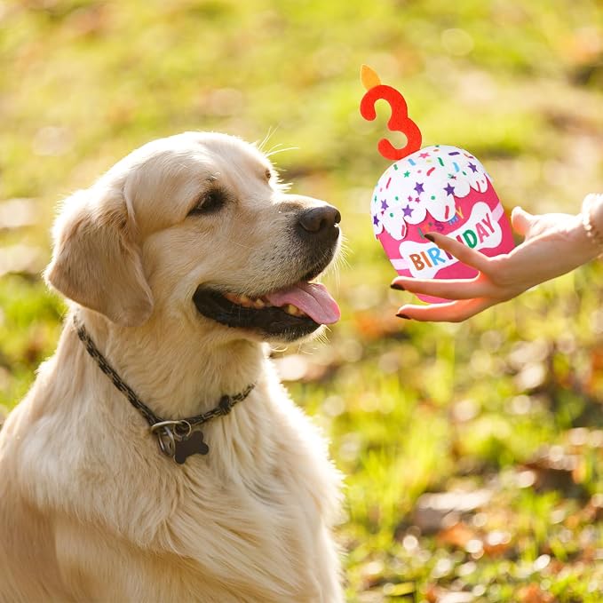 Dansydaisy Dog Birthday Cake Toy Squeaky Plush Gift,3rd,Pink