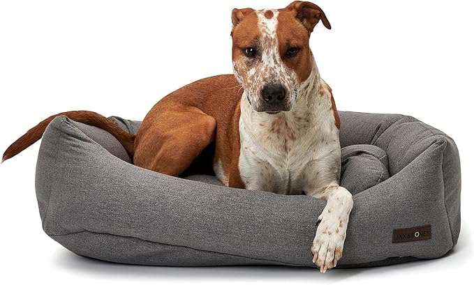 Jax & Bones Dog Napper - Lark Graphite Machine Washable Bed for Dogs - Extra Heavy Duty Bolstered Sides - Small Grey Dog Mat | 24 x 21 Inches