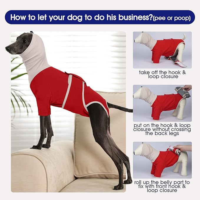FUAMEY Surgical Suit for Dogs Female Spay, Cone of Shame Alternative to Stop Licking, Breathable Male Dog Recovery Suit for After Neuter Surgery, Dog Onesie with Front Leg Covered, Corgi (Red, L)
