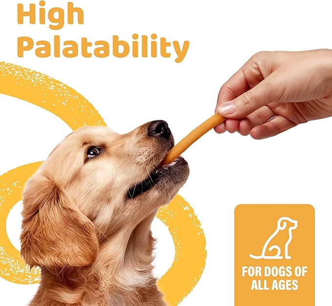 iPaw Turkey Dog Treats, All Natural Human Grade Dog Treat, Suitable for Training chew, US Sourced Raw Material, Hypoallergenic, Rawhide Alternative, Thin Stick (Pumpkin), 5 Packs