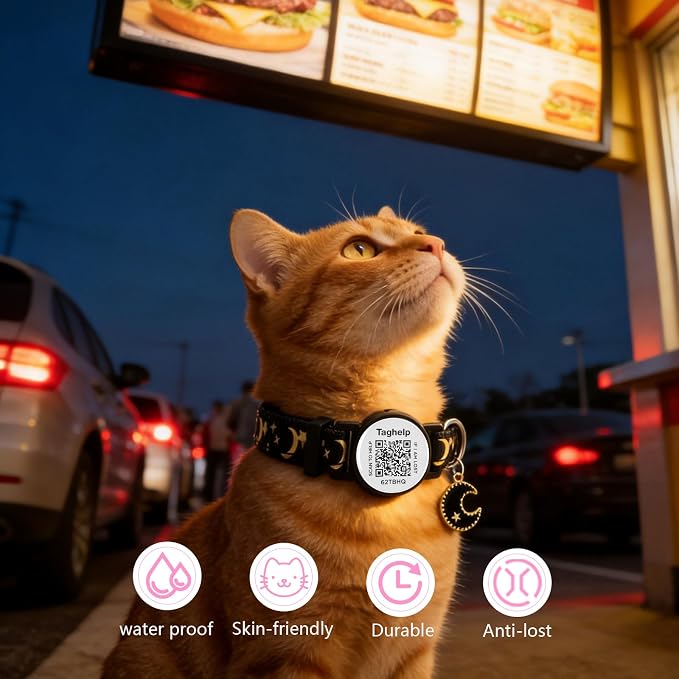 2PCS Breakaway Cat Collars with Moons Stars Cute Kitty Adjustable Safe Kitten Collars with Smart ID QR Code tag,Moon and Star Kitten Safety Collars for Boys & Girls(Black & Purple)