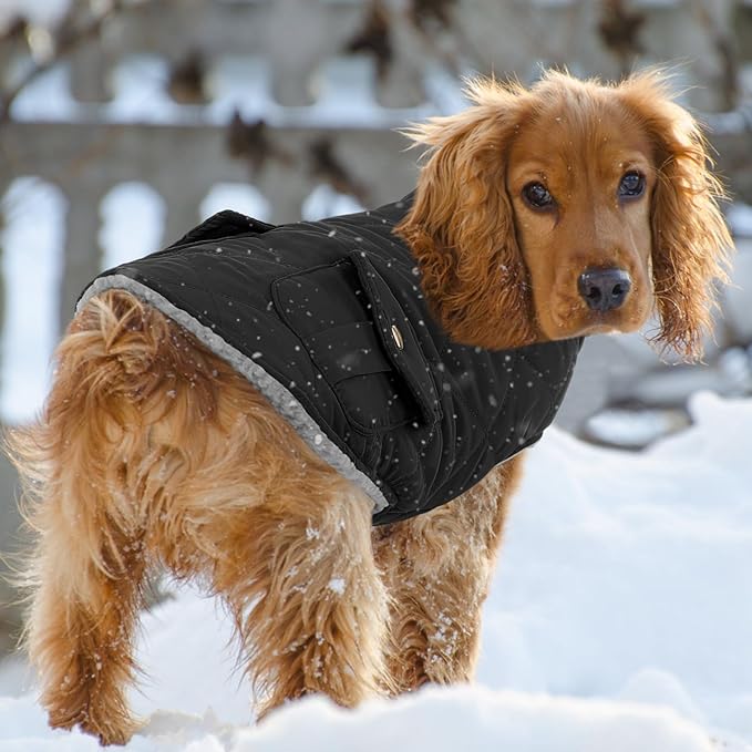 Queenmore Dog Winter Coat Warm Puffer Jacket Waterproof Plush Lining Thermal Cold Weather Vest for Small Medium Large Dogs, Windproof Easy On Pet Jacket Black XL