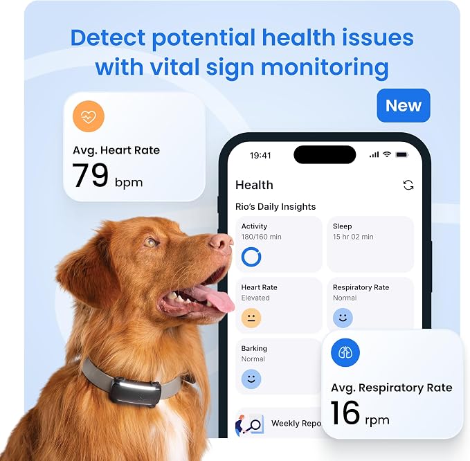 Tractive Smart Dog GPS Collar | Live Pet Tracker with Virtual Fence | Vital Signs Monitoring of Heart & Respiratory Rate | Bark Monitoring | LED Dog Collar (Blue, Large)