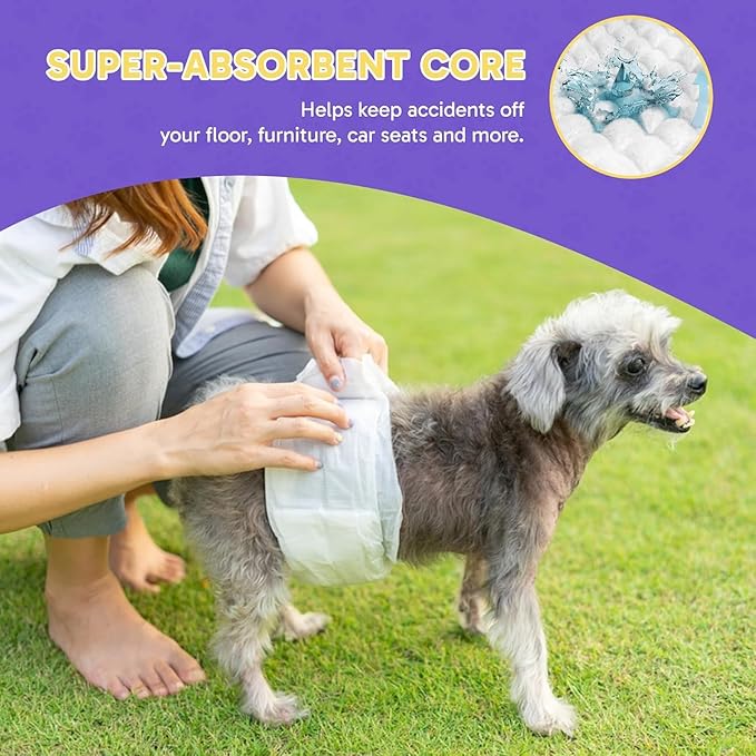 PetsWorld Dog Diapers Male - Disposable - Super Absorbent, Fur-Friendly Belly Bands w/Wetness Indicator -Adjustable Dog Wraps for Incontinence & Training (X-Small, 600 Count)