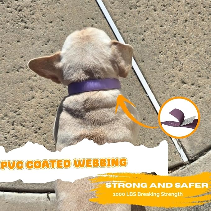 Waterproof Dog Collar, Soft Comfortable Pet Collars, Adjustable Odor Proof Heavy Duty Dog Collars Easy to Clean for Large, Medium Small Dogs by Bee N Buu (Purple, Medium (length12-16, Width 3/4"))