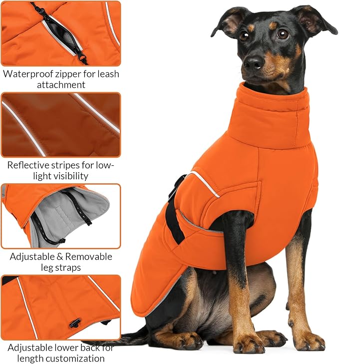 Queenmore Winter Dog Coat Warm Dog Jacket Vest Waterproof Puffer Fleece Snowsuit Adjustable Buckle Leash Hole Reflective Cold Weather Parka for Small Medium Large Dogs Girl Boy Orange M