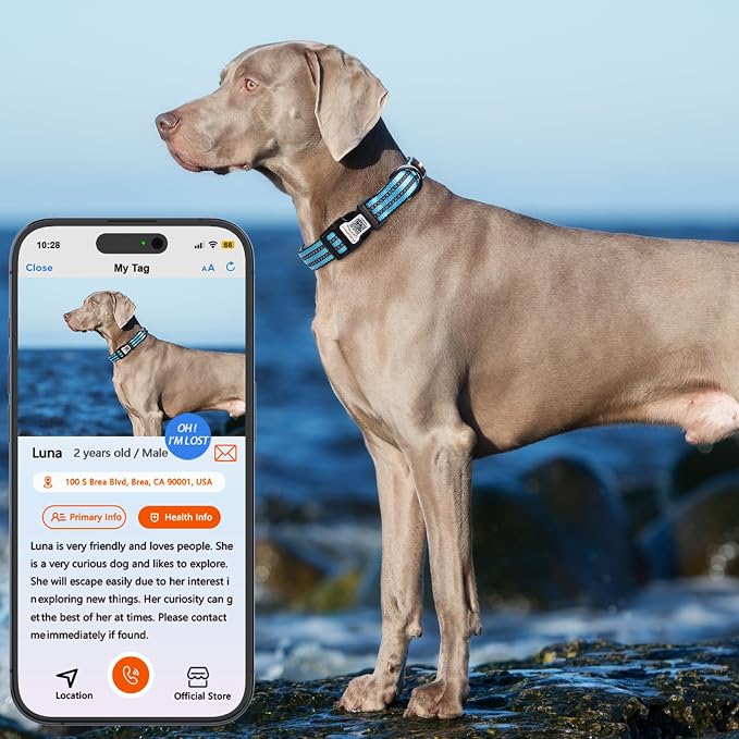 Personalized Dog Collar with QR Code Dog Tag, Light Blue S | Anti-lost, 1000D nylon, reflective, padded, XS-L(8"-24"), QR buckle shares lost pet profile, location alerts when scanned