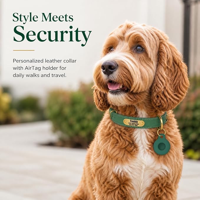 Personalized Genuine Leather Dog Collar with Name Phone Number-Bluegreen-XS