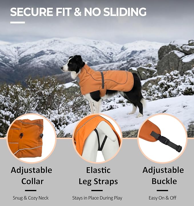 Softshell Dog Winter Vest, Fleece Lined Water-Repellent Jacket for Hiking & Running, Adjustable Windproof Winter Coat with Anti-Slip Leg Straps for Active Dogs (Aurantium, Small)