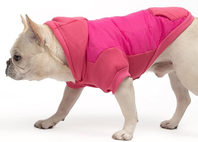 KOOLTAIL Warm Dog Winter Coat for Small Dogs, Waterproof Puppy Jacket with Leash Hole, Cold Weather Pet Vest for Winter, Soft Hoodie Sweater Sweatshirt Clothes for Puppy Cats Girls Boys Rose Red SM