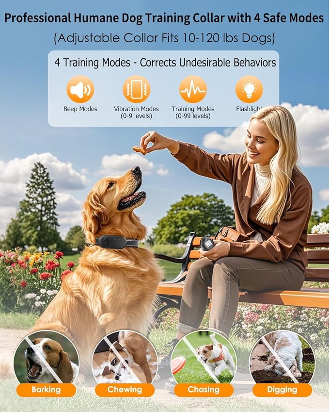 Dog Shock Collar with Remote Control, Waterproof Training Collar, Grey