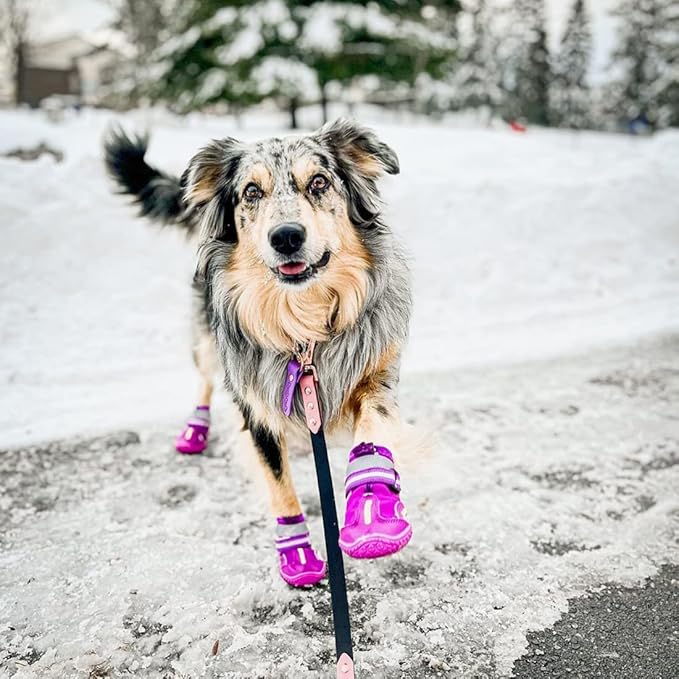 QUMY Dog Shoes for Large Dogs, Medium Dog Boots & Paw Protectors for Winter Snowy Day, Summer Hot Pavement, Water-Resistant in Rainy Weather, Outdoor Walking, Indoor Hardfloors Skid-Resistant Sole