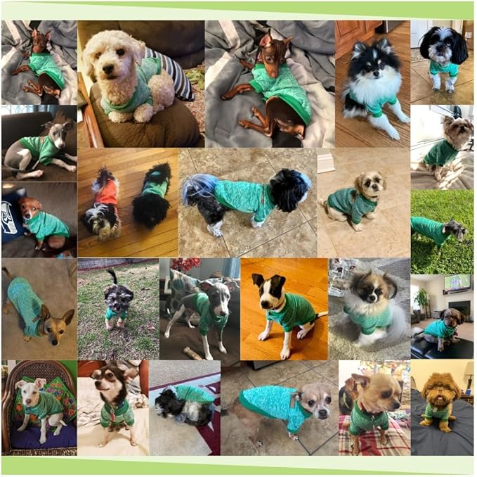 Jecikelon Dog Clothes Dogs Sweater Soft Puppies Clothing Winter Puppy Sweaters Warm Outfit for Dogs Small XXS XS Cat Apparel (Green, XXS)