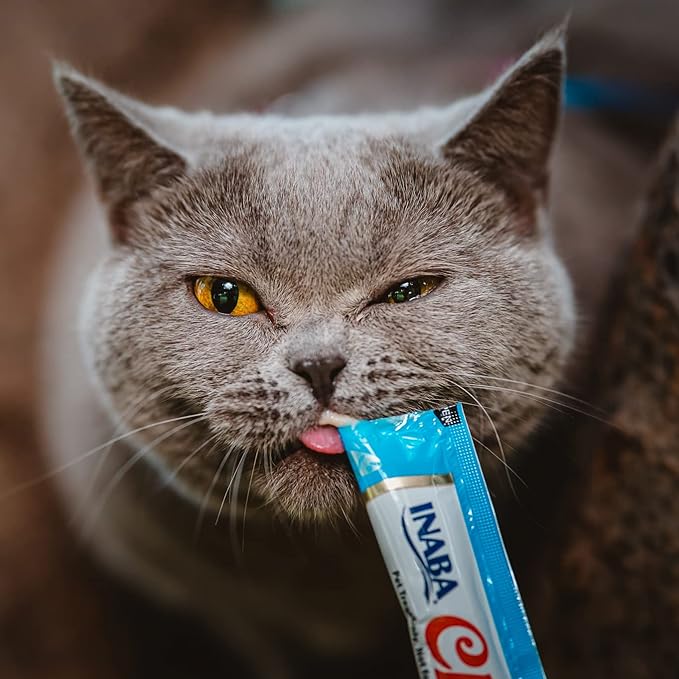 Churu Tuna with Salmon Recipe Lickable Creamy Purée Cat Treats 24 Tubes