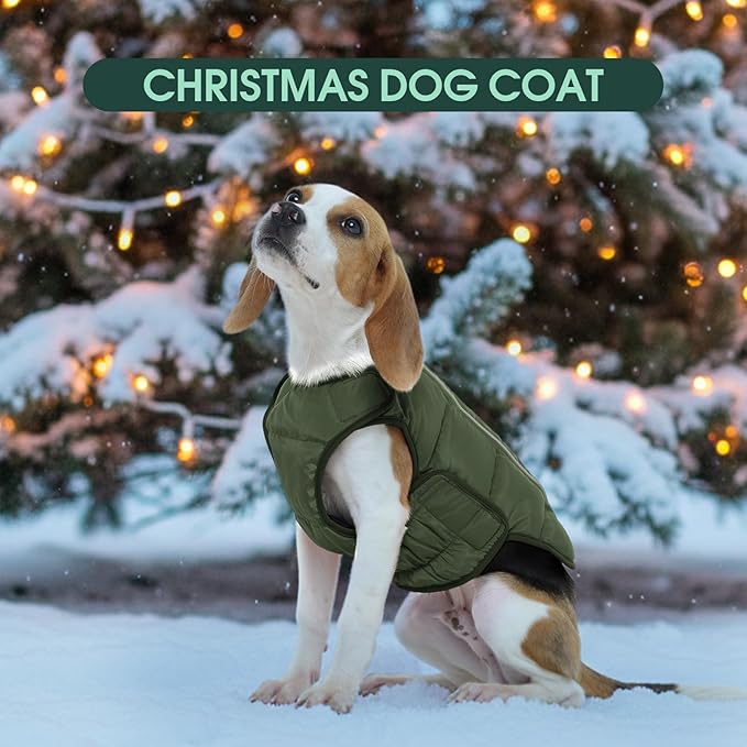 Kuoser Dog Puffer Jacket Warm Dog Coat for Extra Small Dogs, Windproof Reflective Pet Padded Vest Cold Weather Clothes Puppy Snowsuit with Hook & Loop Coats, Easy On/Off, Green XS