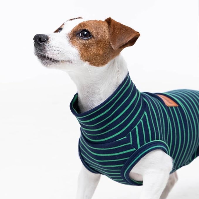 FUAMEY 2 Pack Dog Fleece Vest for Small Dogs,Maltese Chihuahua Stretchy Dog Sweatshirts Warm Dogs Pullover Winter Pet Sweaters with Leash Hole Puppy Turtleneck Sleeveless Green Stripes S