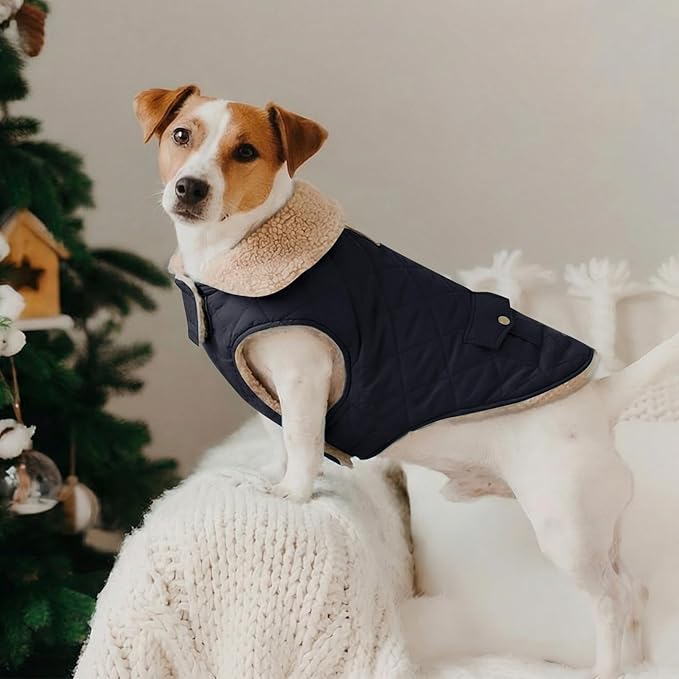 Dog Winter Coat for Small Dogs, Puppy Solid Jacket, Pet Warm Coat for Cold Weather, Windproof Pets Thickened Outfits Garments Indoor Outdoor, NavyBlue XS