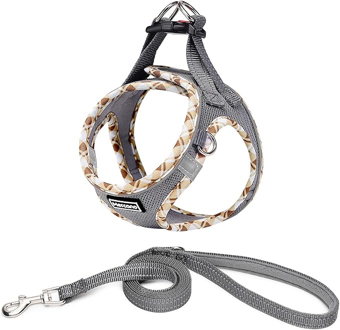 Mercano Soft Mesh Dog Harness and Leash Set, No-Chock Step-in Reflective Breathable Lightweight Easy Walk Vest Harnesses with Safety Buckle for Small Dogs, Cats (Grey, XL)