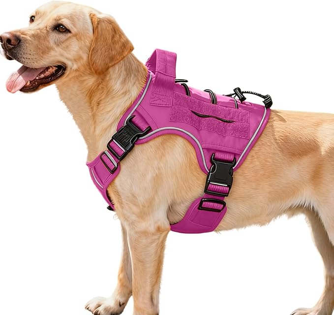 Heavy-Duty Tactical Dog Harness for Large Dogs, No Pull Adjustable Reflective Pet Vest with Molle System, K9 Military-Grade Control for Service Training, Outdoor & 10+ Breeds, Pink, Medium