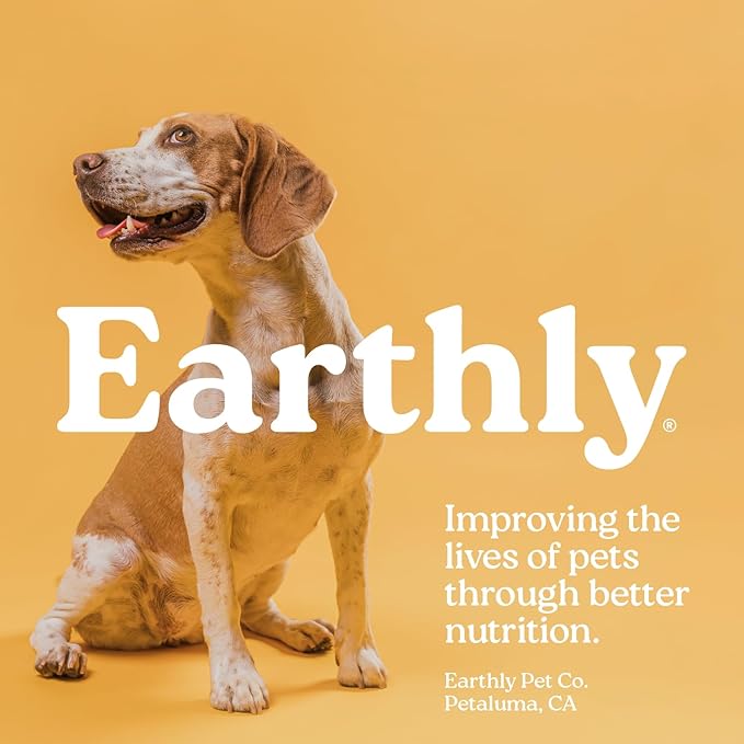 Earthly Pill Buddy Naturals - Beef Recipe Pill Hiding Treats for Dogs - Make A Perfect Pill Concealing Pocket Or Pouch for Any Size Medication - 30 Servings