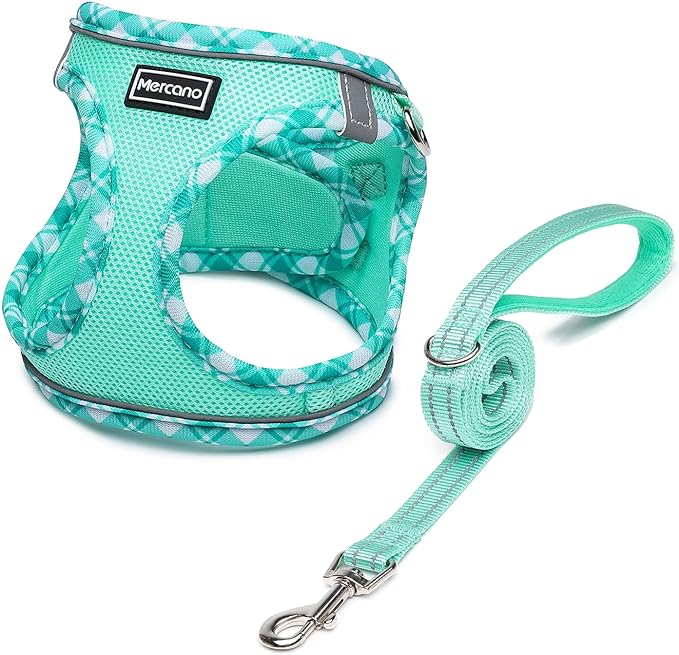Mercano Soft Mesh Dog Harness and Leash Set, No-Chock Step-in Reflective Breathable Lightweight Easy Walk Vest Harnesses with Safety Buckle for Small Dogs, Cats (Light Green, XL)