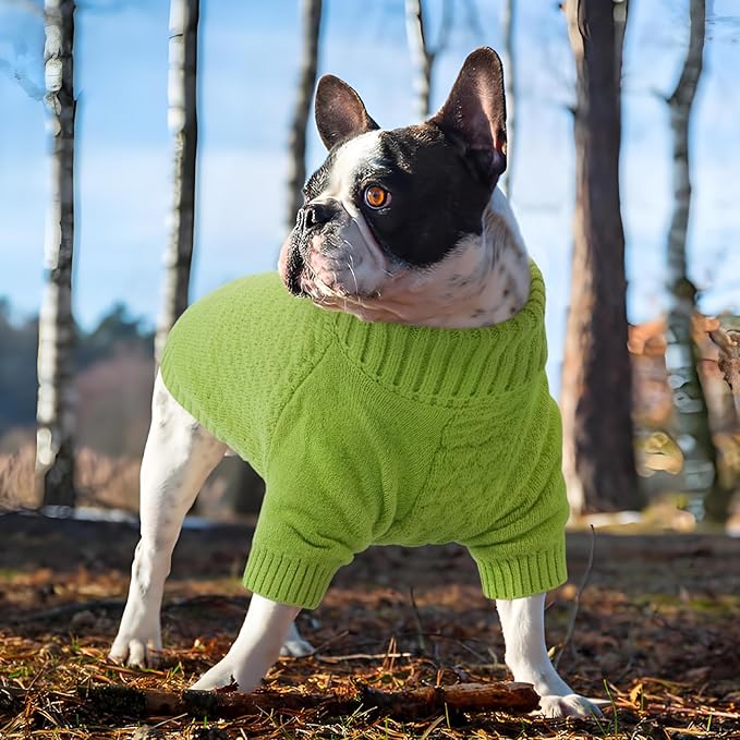 Kuoser Dog Sweater Thick Warm Puppy Turtleneck Sweaters, Cold Weather Cable Knitwear Soft Dog Sweaters for Small Dogs Girl Boy, Solid Pet Pullover Sweater Winter Fall Clothes, Green S