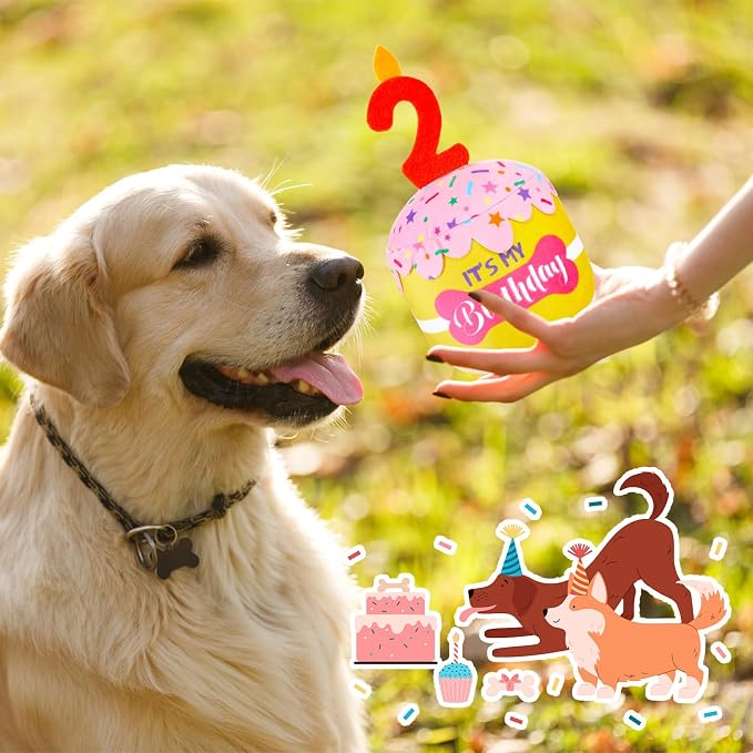 Dansydaisy Dog Birthday Cake Toy Squeaky Plush Gift,2nd,Pink and Yellow