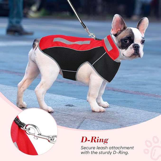 Small Dog Coat, Warm Dog Winter Jacket, Reflective Pet Jacket with Fleece Lined, Pet Clothes for Small Medium Dogs (Red, S)