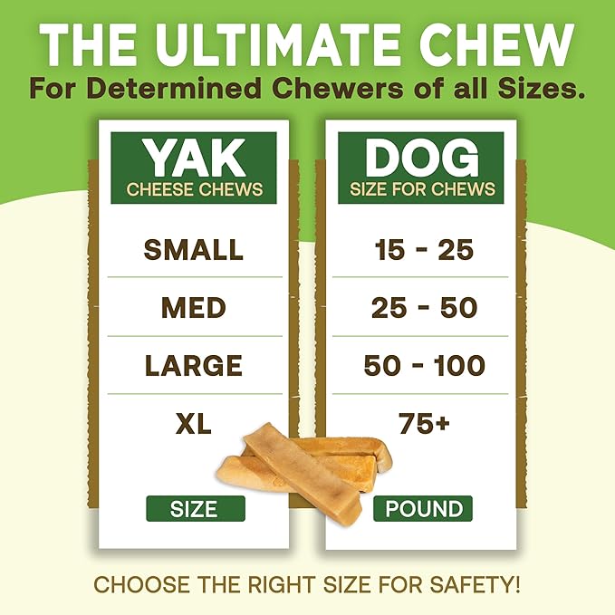 EcoKind Premium Gold Yak Cheese Himalayan Dog Chews, Healthy Dog Treats for Small Dogs, All Natural, High Protein Dog Chew, Cheese, Small - 8 Chews