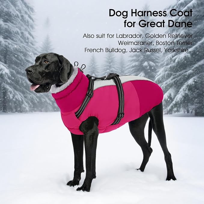 SUNFURA Large Dog Coat with Harness Built in, Warm Dog Jacket Waterproof Pet Winter Coat Snowsuit for Cold Weather, Reflective Fleece Jacket for Large Dogs, Border Collie, Hot Pink XL
