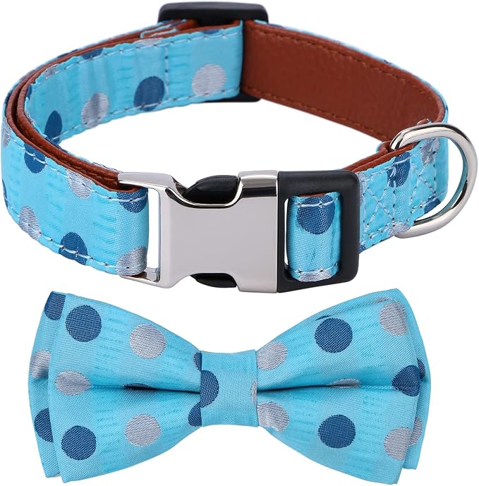 Bowtie Dog Collar Blue Polka Dots Small