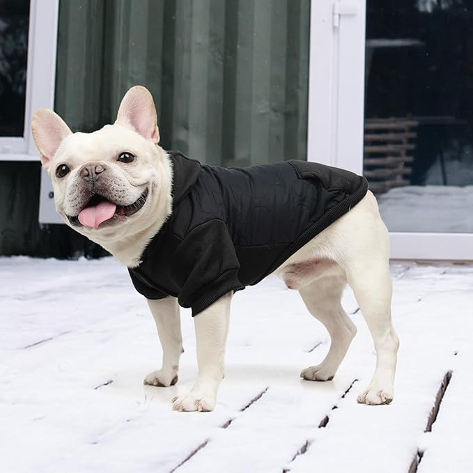 KOOLTAIL Warm Dog Winter Coat for Small Dogs, Waterproof Puppy Jacket with Leash Hole, Cold Weather Pet Vest for Winter, Soft Pet Hoodie Sweater Sweatshirt Clothes for Puppy Cats Girls Boys Black L