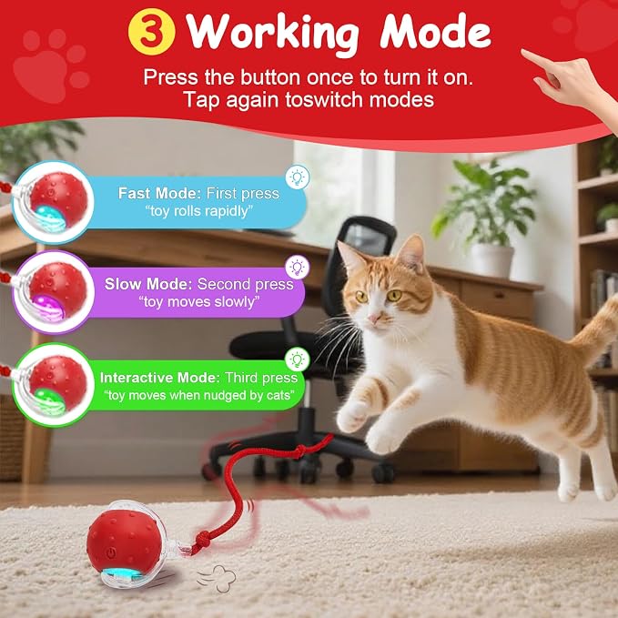 Interactive Cat Toys Smart Ball for Cats & Dogs! Now with 2 Rapid Tails. Features: 360°Auto-Rolling, Motion Activation& Bird Sounds. Perfect for Indoor Pet Exercise & Fun. (Red＆Blue)