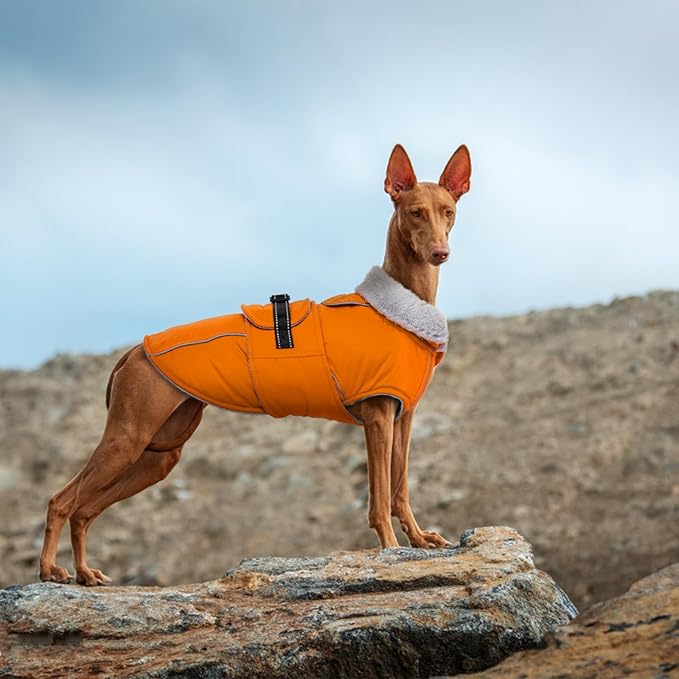 Lelepet Dog Coat Waterproof Dog Jacket Reflective Fleece Vest with Adjustable Buckle & Leash Hole Windproof Cold Weather Coats for Small Medium Large Dogs, Warm Hunting Vest, Orange, XXL